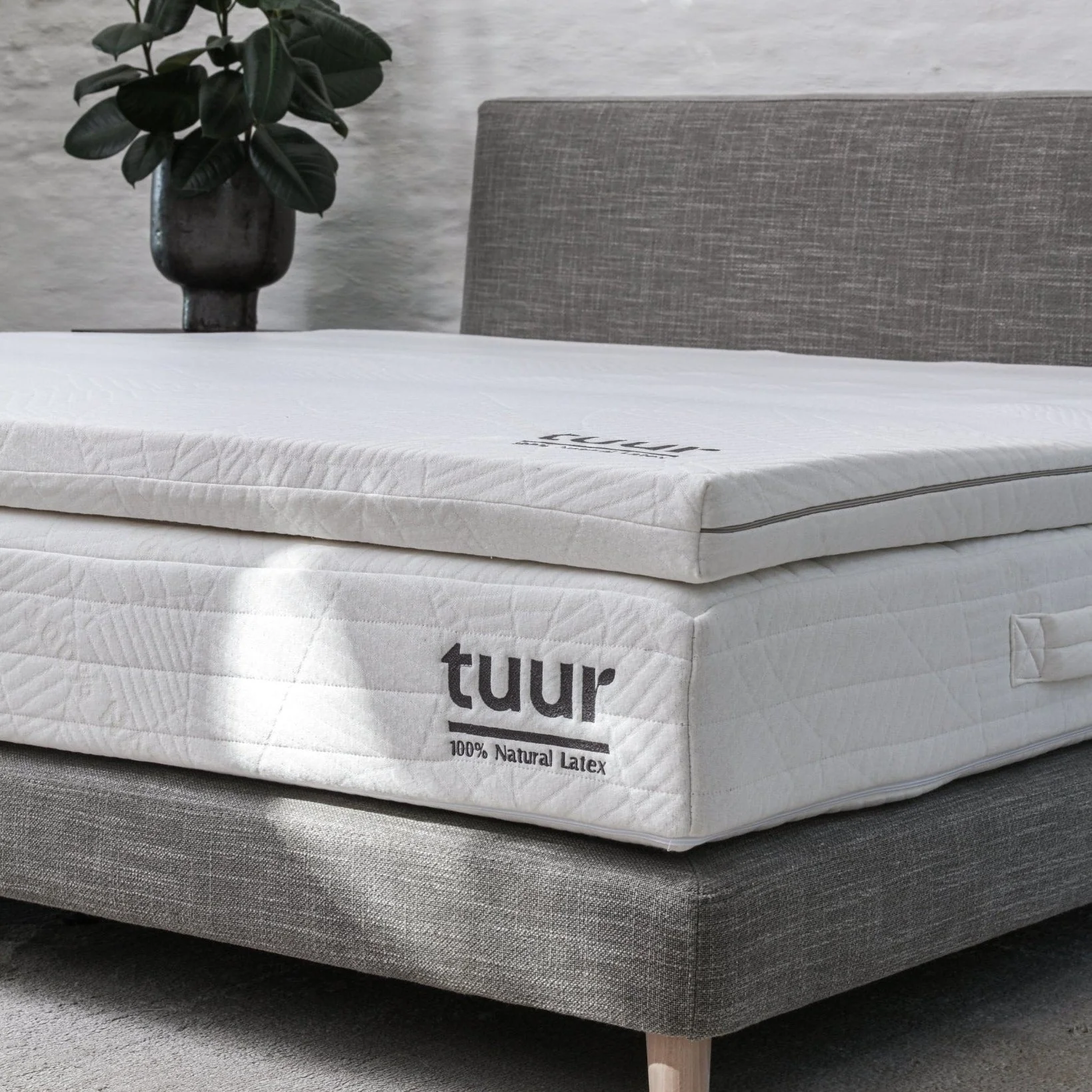 Tuur® Original Topper (8cm) - 100% Natural Latex - Image 2